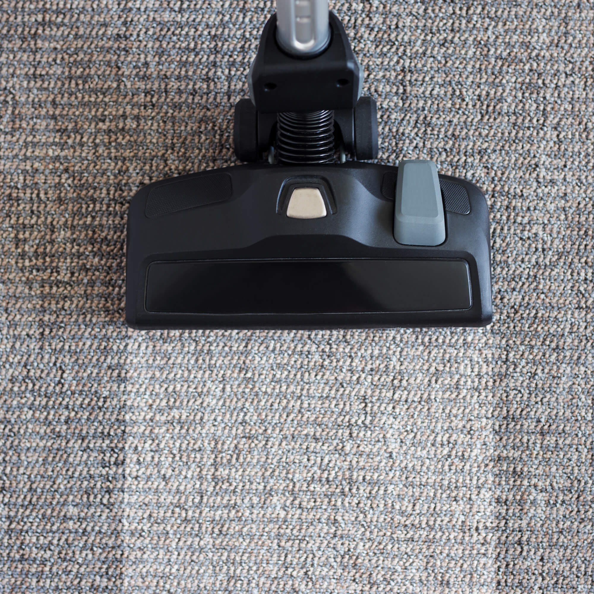 Tapis clean